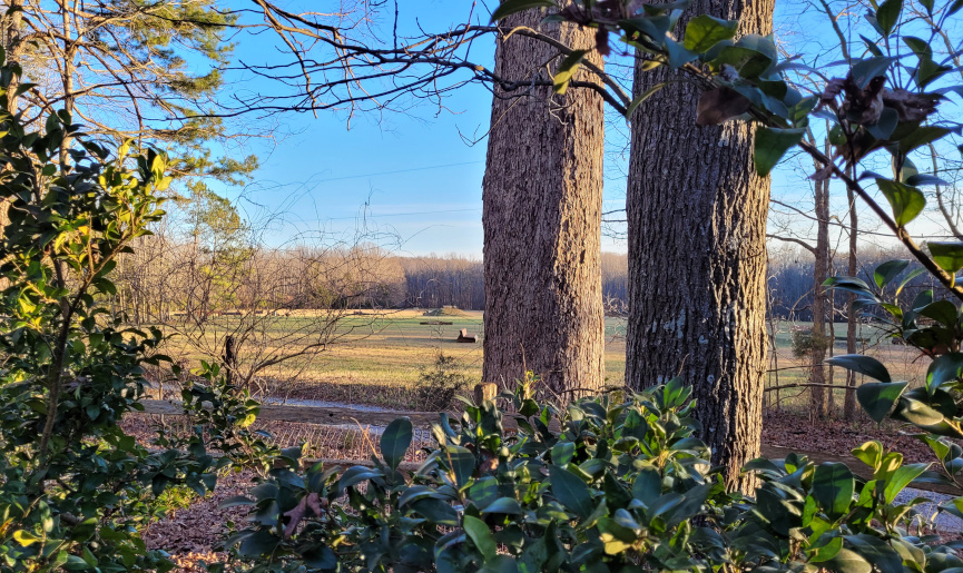 A view of a field through trees.