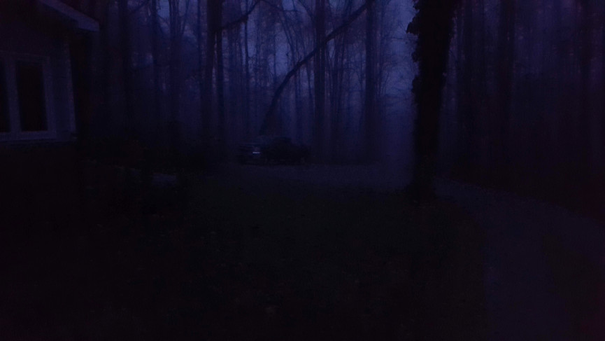 drive in woods in morning dark