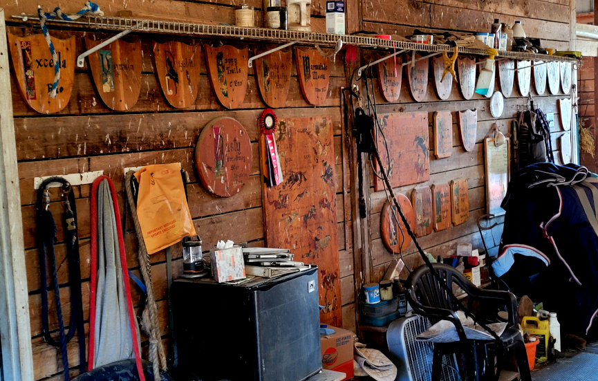 a wall of horse stall name plates