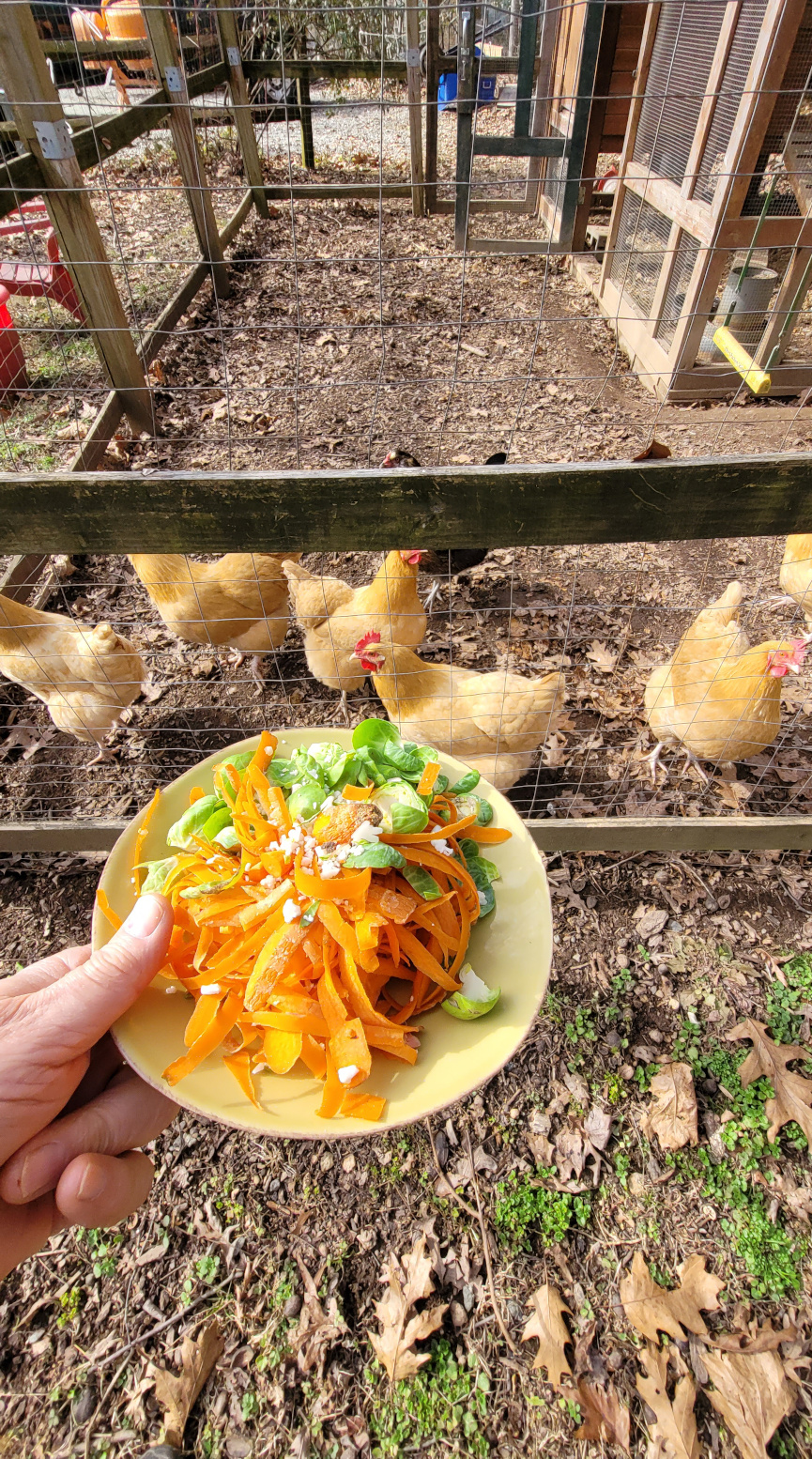 a plate of vegetable scrapings for the chickens