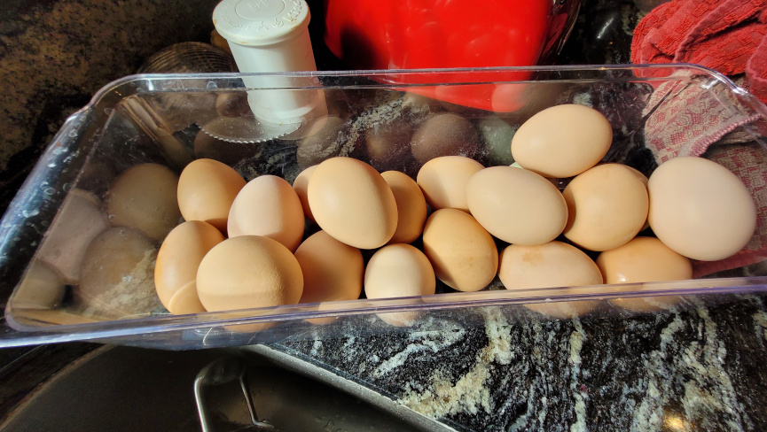 many eggs in a plastic container