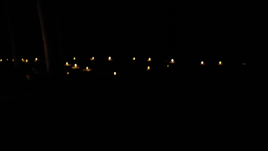 Lights along a garden trail at night